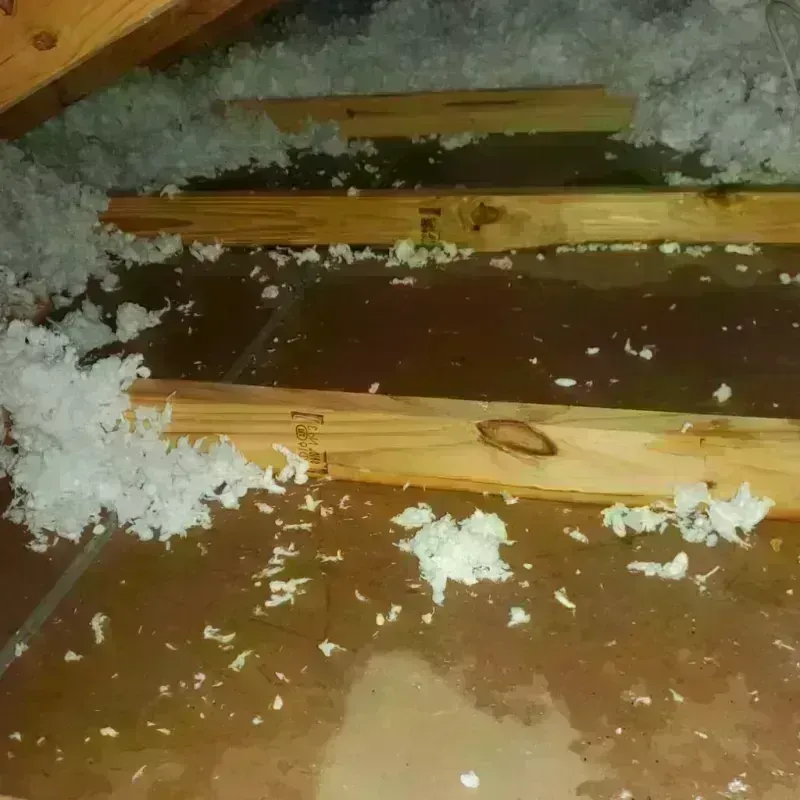 Attic Water Damage in Oak Hill, WV